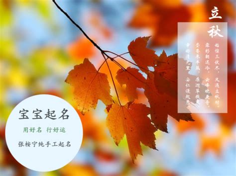 姓王的名字|王姓独特稀少男孩名字大全（精选600个）